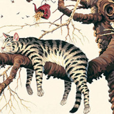 cat-on-branch
