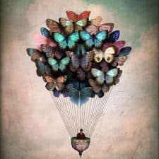 butterfly-balloon